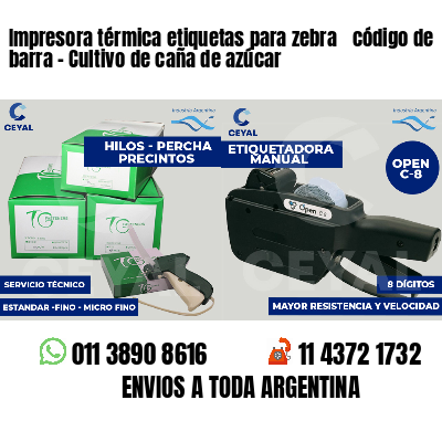 Impresora térmica etiquetas para zebra  código de barra - Cultivo de caña de azúcar